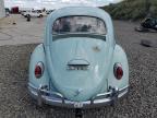 Reno, NV에서 판매 중인 1964 Volkswagen Beetle - Front End