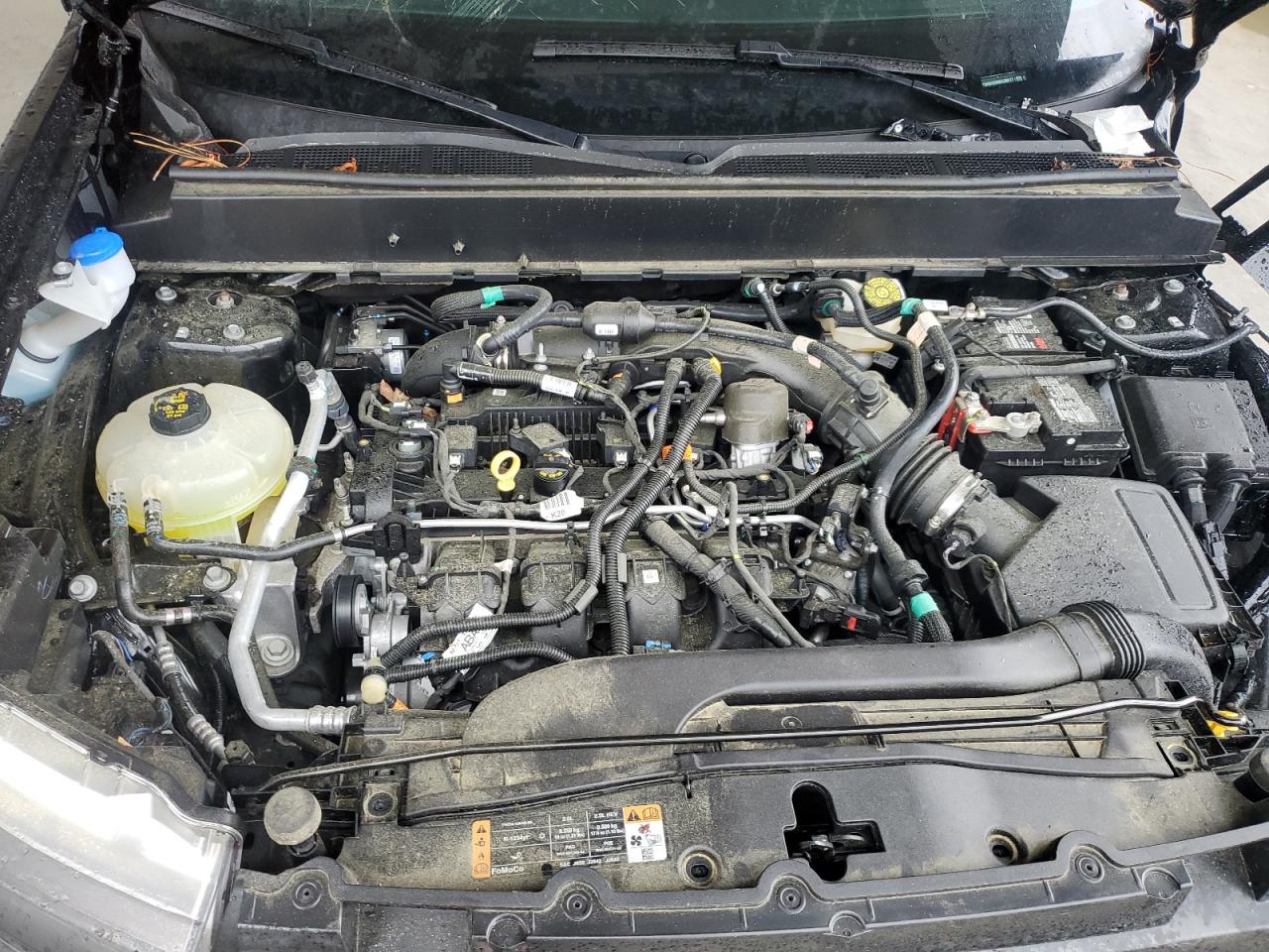 3FTTW8A93RRA38617 FORD MAVERICK 2024