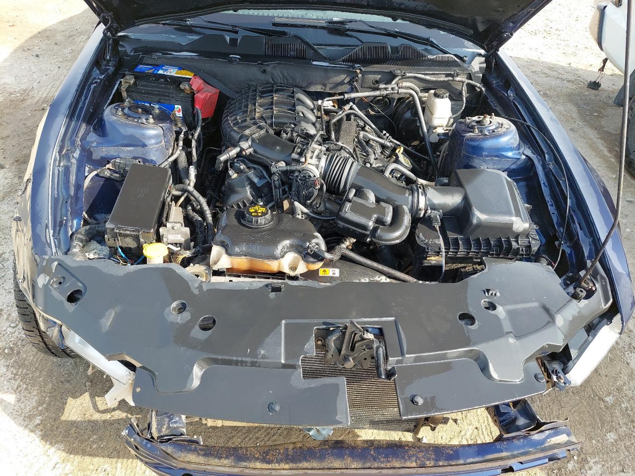 1ZVBP8AM1C5251263 - 2012 Ford MUSTANG - #undefined