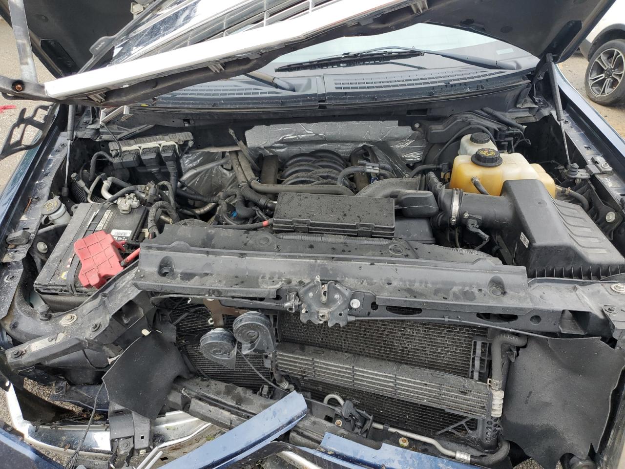 2013 Ford F150 Supercrew VIN: 1FTFW1EF2DFD02128 Lot: 56557915