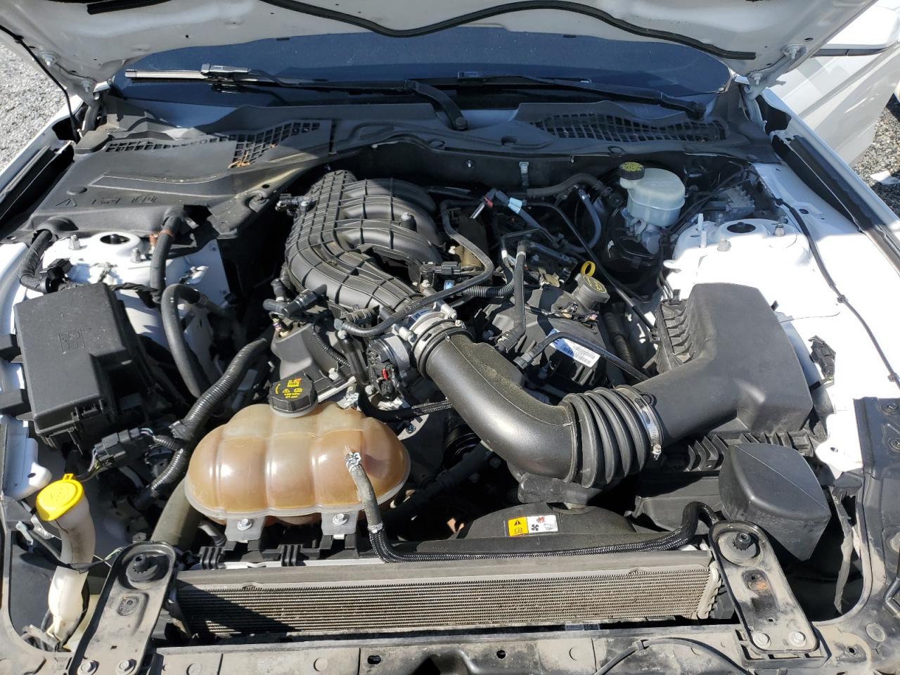 2015 Ford Mustang VIN: 1FA6P8AM1F5400401 Lot: 56145655