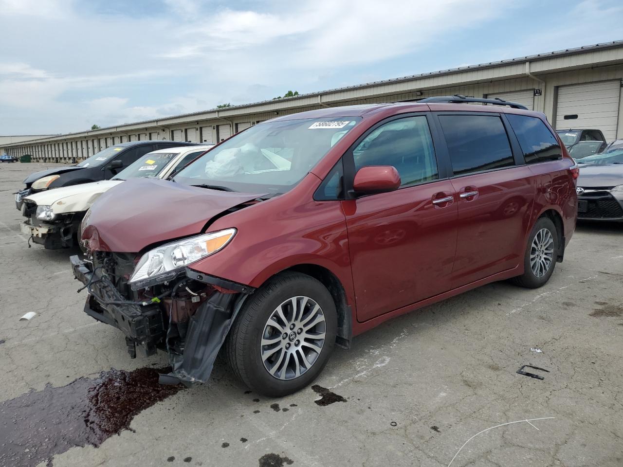 2019 Toyota Sienna Xle იყიდება Louisville-ში, KY - Front End