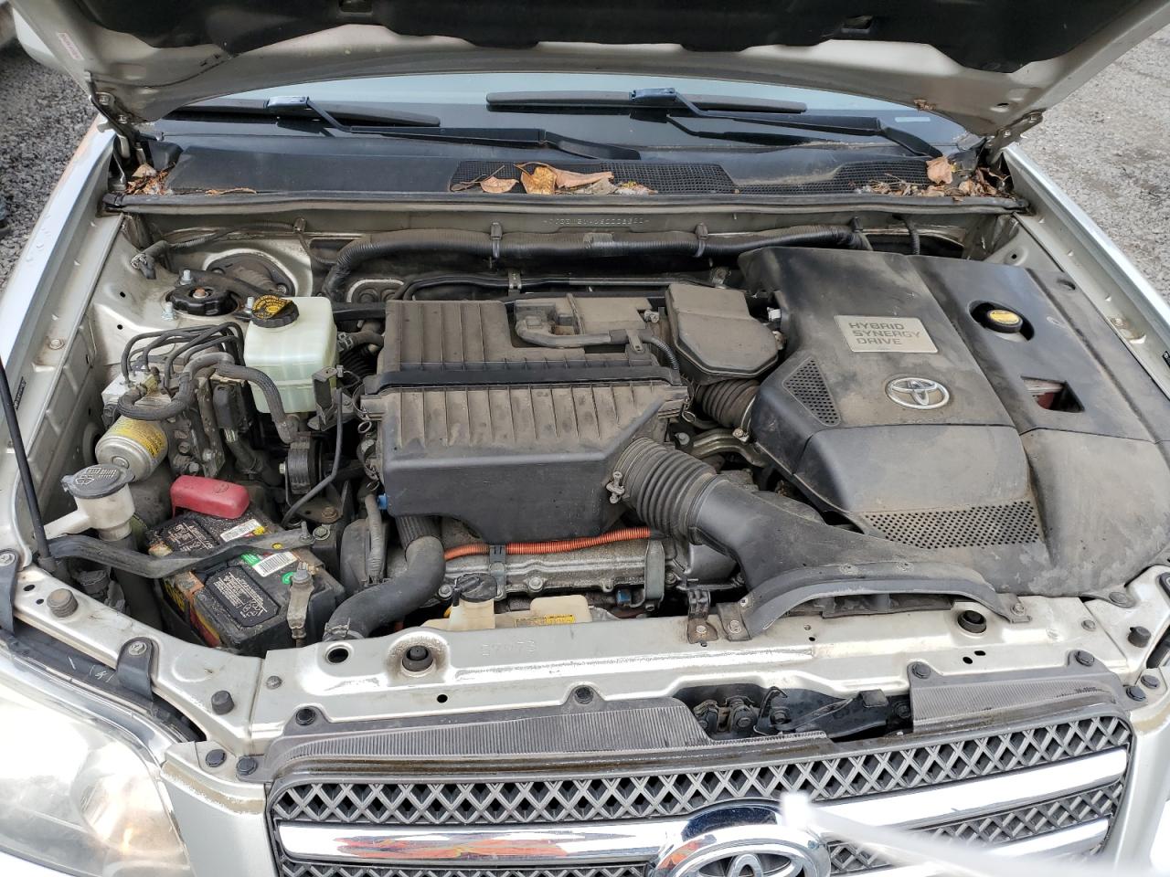 2006 Toyota Highlander Hybrid VIN: JTEEW21A160008300 Lot: 57097275