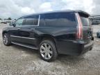2020 Cadillac Escalade Esv Luxury იყიდება Earlington-ში, KY - Hail