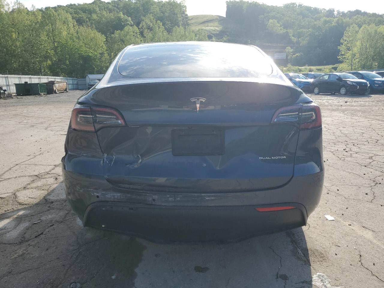2022 Tesla Model Y VIN: 7SAYGDEE1NF430383 Lot: 56208825