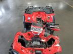 2024 Polaris Sportsman Xp 1000 Ultimate Trail на продаже в Ham Lake, MN - Front End