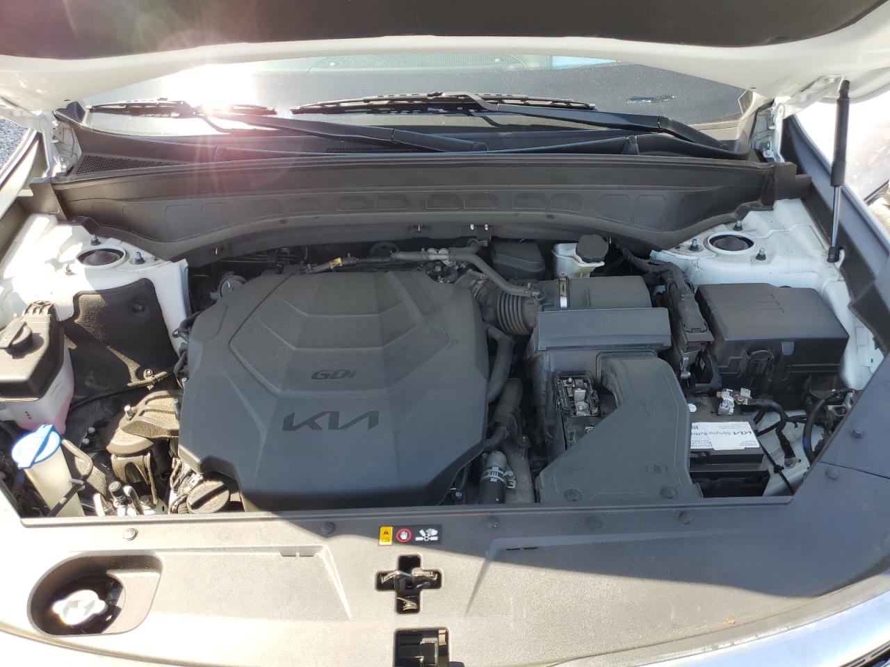 2022 Kia Telluride Sx VIN: 5XYP5DHC5NG206700 Lot: 57030445
