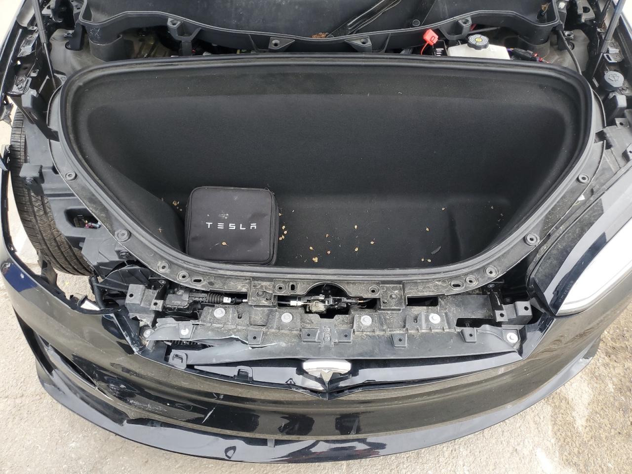2024 Tesla Model X VIN: 7SAXCAE58RF447127 Lot: 56040635