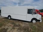 Gaston, SC에서 판매 중인 2007 Freightliner Chassis M Line Walk-In Van - Minor Dent/Scratches