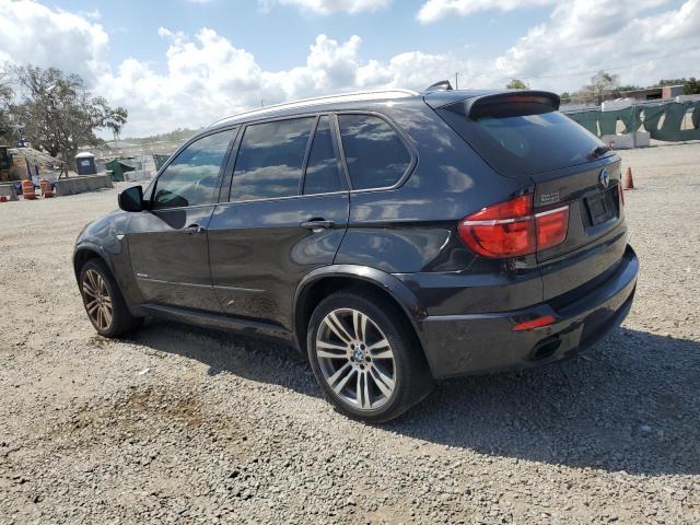 Parquets BMW X5 2012 Black