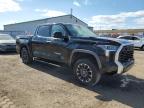 2023 TOYOTA TUNDRA CREWMAX LIMITED   à vendre chez Copart ON - TORONTO