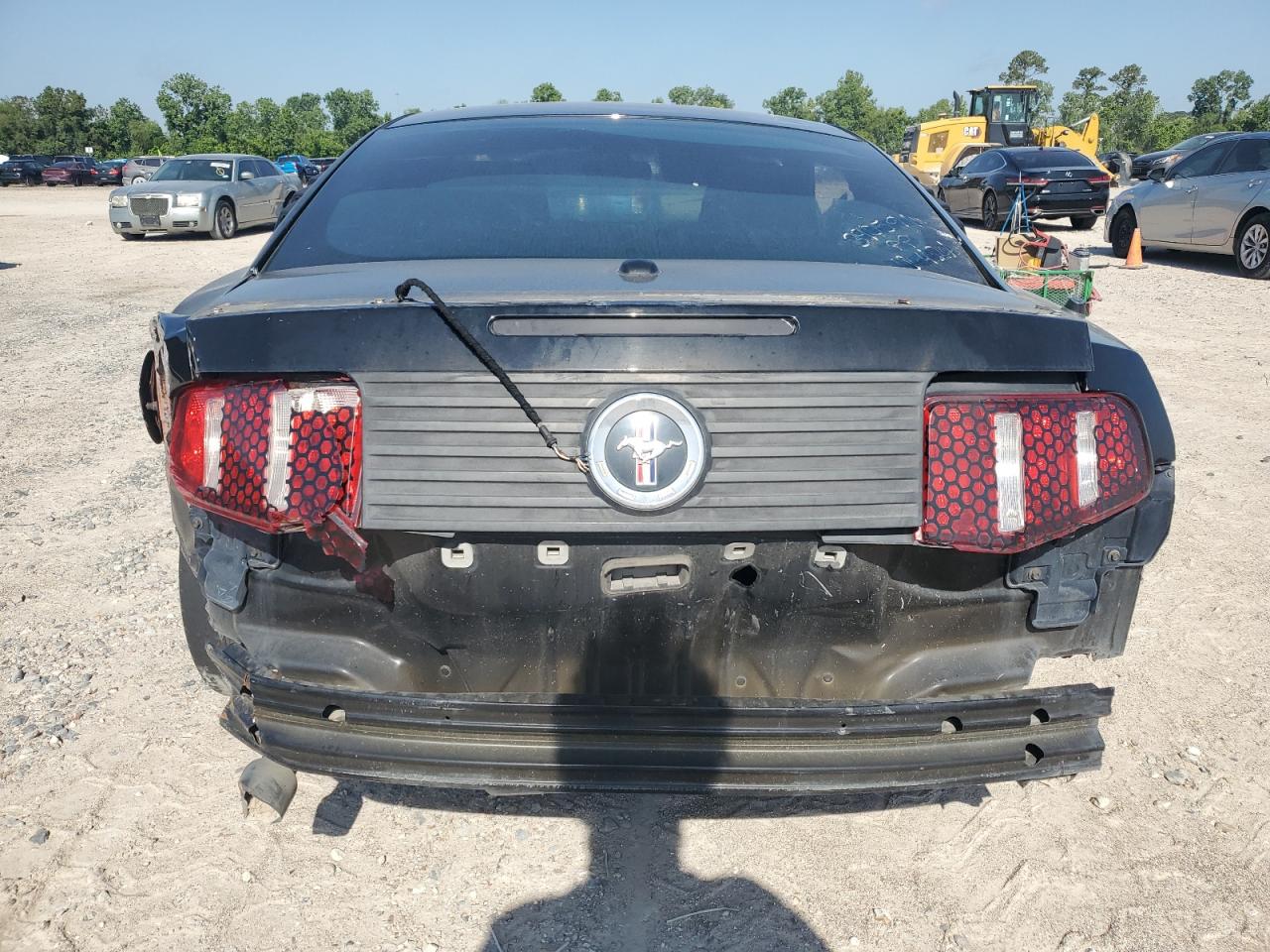 2012 Ford Mustang VIN: 1ZVBP8AMXC5202904 Lot: 56834625