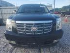 Prairie Grove, AR에서 판매 중인 2010 Cadillac Escalade Luxury - Hail