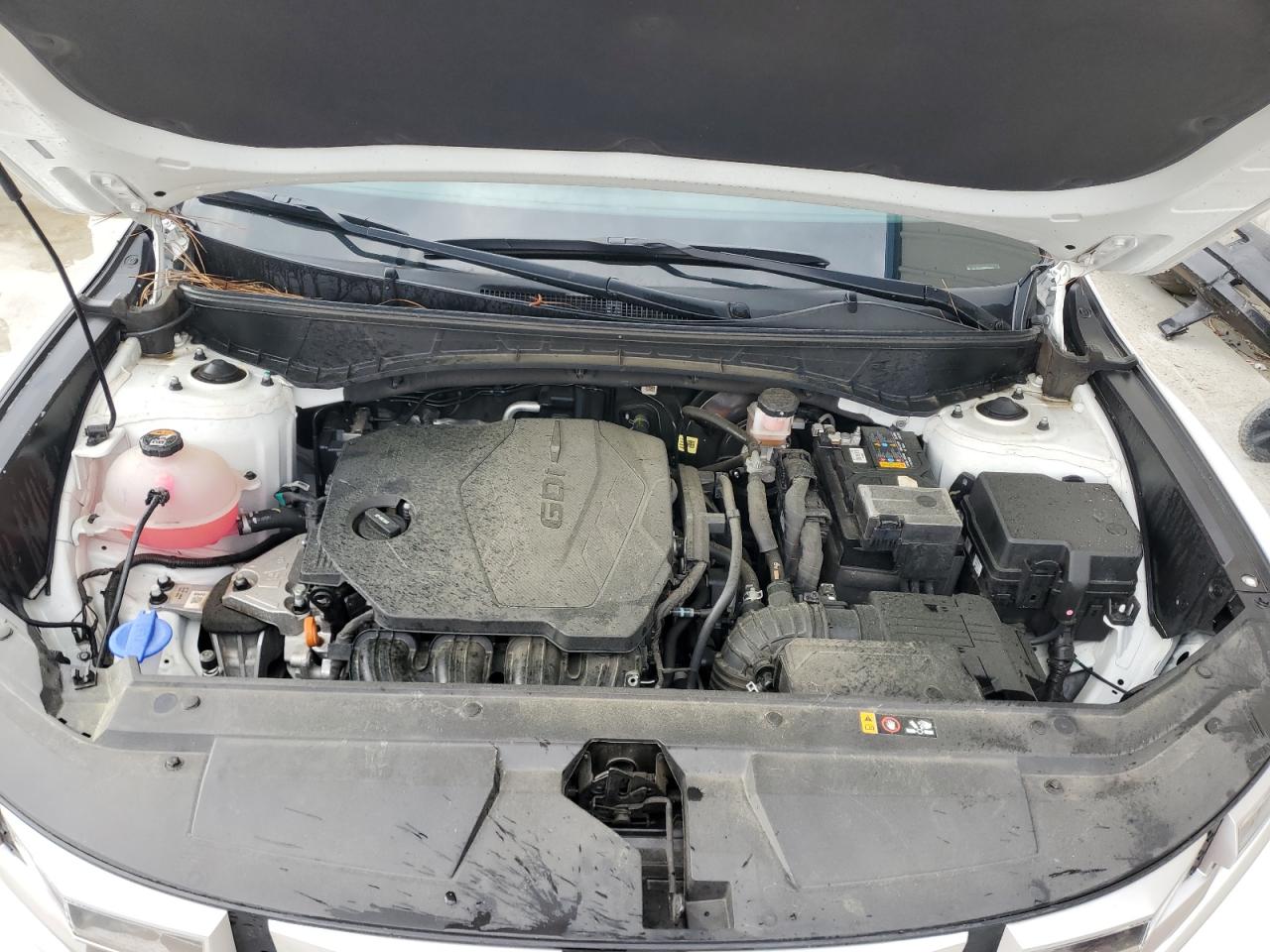 2022 Hyundai Santa Cruz Sel VIN: 5NTJB4AE7NH000895 Lot: 55120565