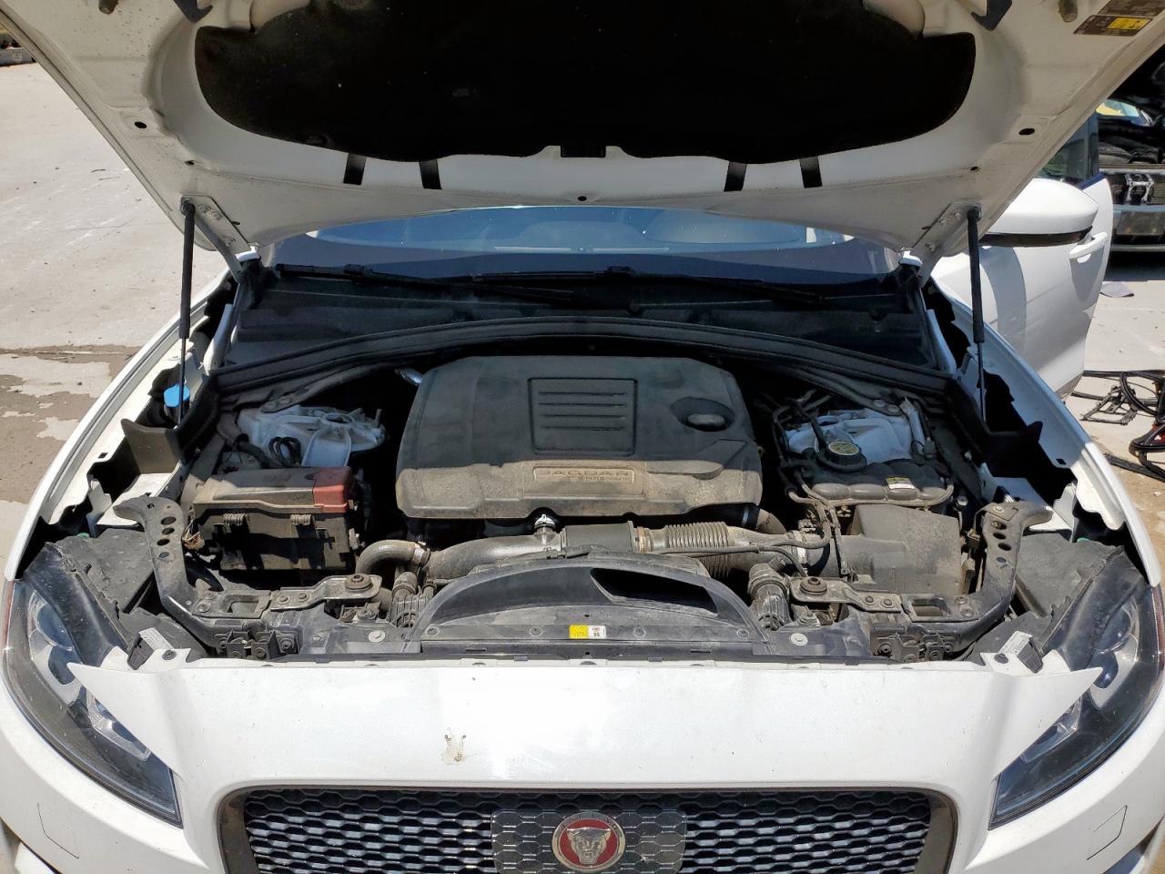 2019 Jaguar F-Pace Premium VIN: SADCJ2FX5KA361039 Lot: 54307345