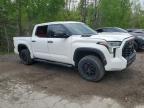 2023 TOYOTA TUNDRA CREWMAX LIMITED   for sale at Copart ON - COOKSTOWN