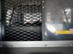 2015 Chevrolet Tahoe Police na sprzedaż w Houston, TX - Hail