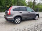 2009 Honda Cr-V Exl for Sale in Northfield, OH - Rear End