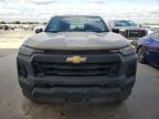 2024 Chevrolet Colorado  for Sale in Wilmer, TX - Side