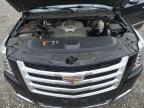 2020 Cadillac Escalade Esv Luxury იყიდება Earlington-ში, KY - Hail
