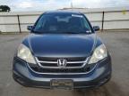 2010 Honda Cr-V Exl zu verkaufen in Bakersfield, CA - Side