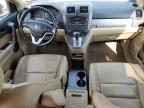 2010 Honda Cr-V Exl за продажба в Mentone, CA - Side