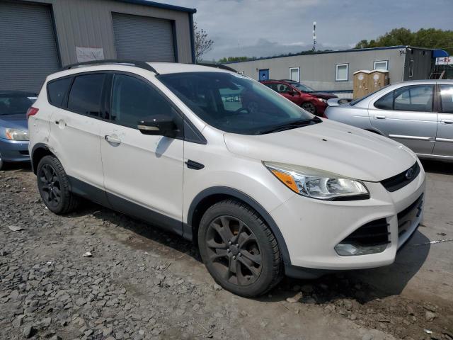  FORD ESCAPE 2014 Biały