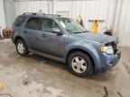 2011 Ford Escape Xlt   zu verkaufen in Franklin, WI - Front End