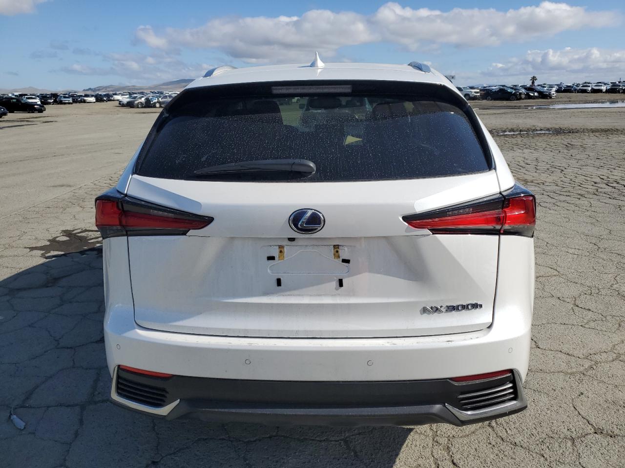 2019 Lexus Nx 300H VIN: JTJBJRBZ0K2121542 Lot: 56792675