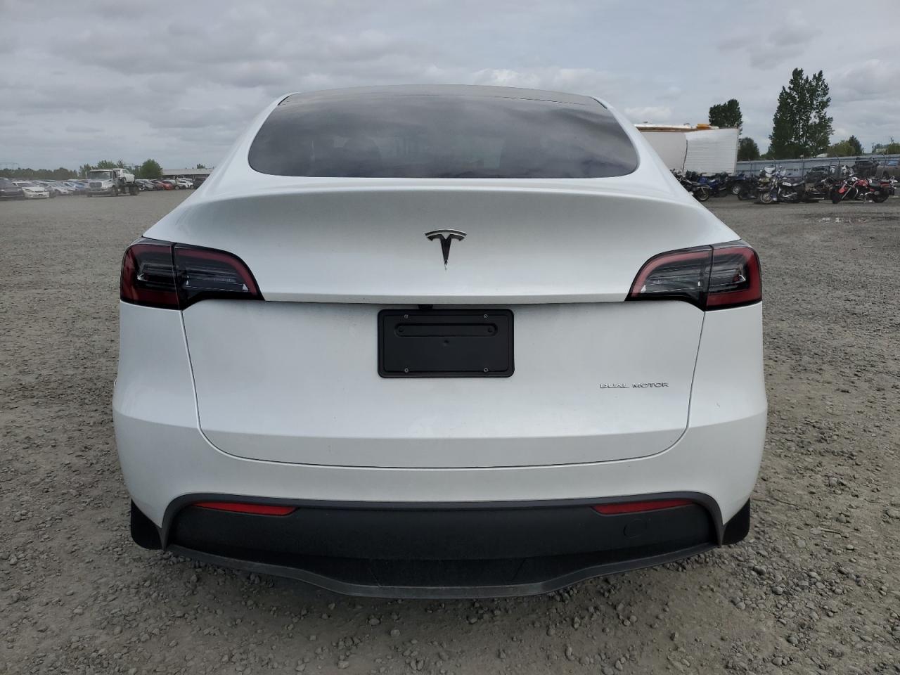 2023 Tesla Model Y VIN: 7SAYGDEE0PA144606 Lot: 57341155