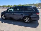 2014 Honda Odyssey Exl zu verkaufen in Littleton, CO - Hail