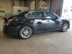 2009 Nissan Maxima S de vânzare în Blaine, MN - Rear End