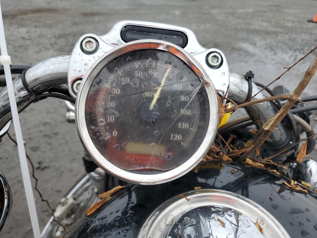 2005 Harley-Davidson Xl1200 C VIN: 1HD1CGP165K460969 Lot: 57593285