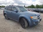 2011 Ford Escape Limited იყიდება Columbus-ში, OH - Side
