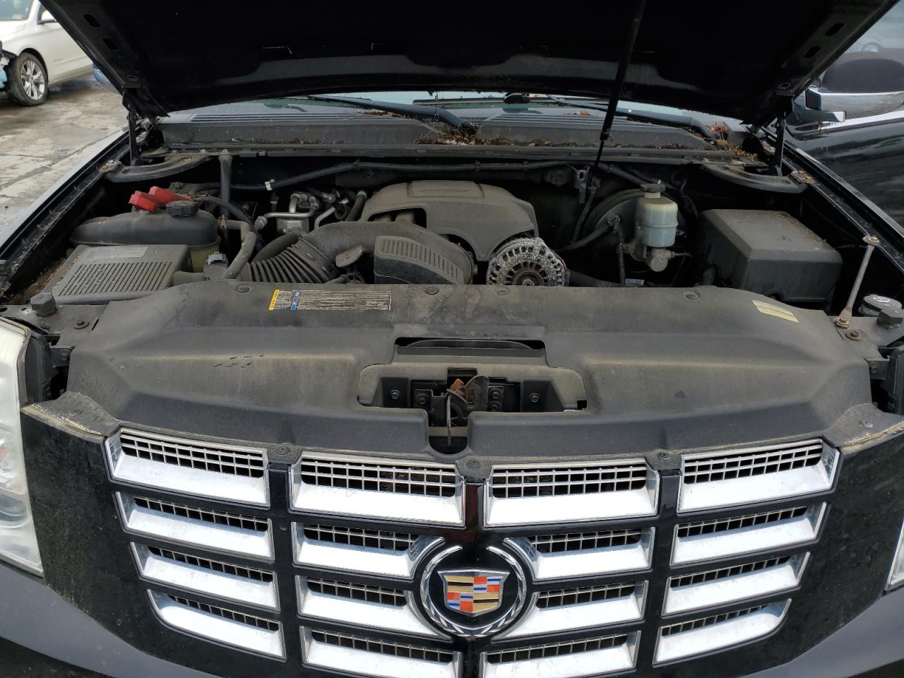 2010 Cadillac Escalade Premium VIN: 1GYUKCEF7AR242110 Lot: 58755955