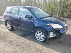 2007 HONDA CR-V EXL à vendre chez Copart ON - COOKSTOWN