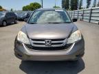 2010 Honda Cr-V Lx for Sale in Miami, FL - Side