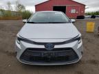 2023 TOYOTA COROLLA LE   à vendre chez Copart ON - LONDON