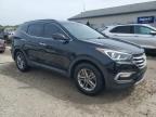 Louisville, KY에서 판매 중인 2017 Hyundai Santa Fe Sport    - Hail