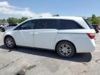 Littleton, CO에서 판매 중인 2013 Honda Odyssey Exl - Rear End