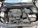 Riverview, FL에서 판매 중인 2014 Hyundai Sonata Gls - Rear End