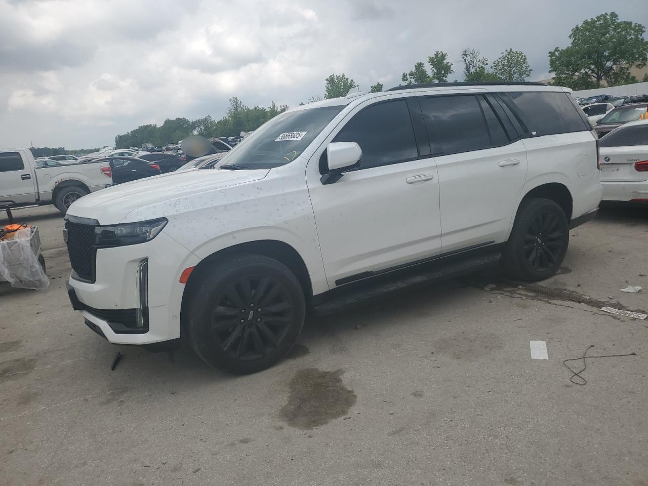 2021 Cadillac Escalade Sport zu verkaufen in Bridgeton, MO - Hail