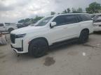 2021 Cadillac Escalade Sport на продаже в Bridgeton, MO - Hail