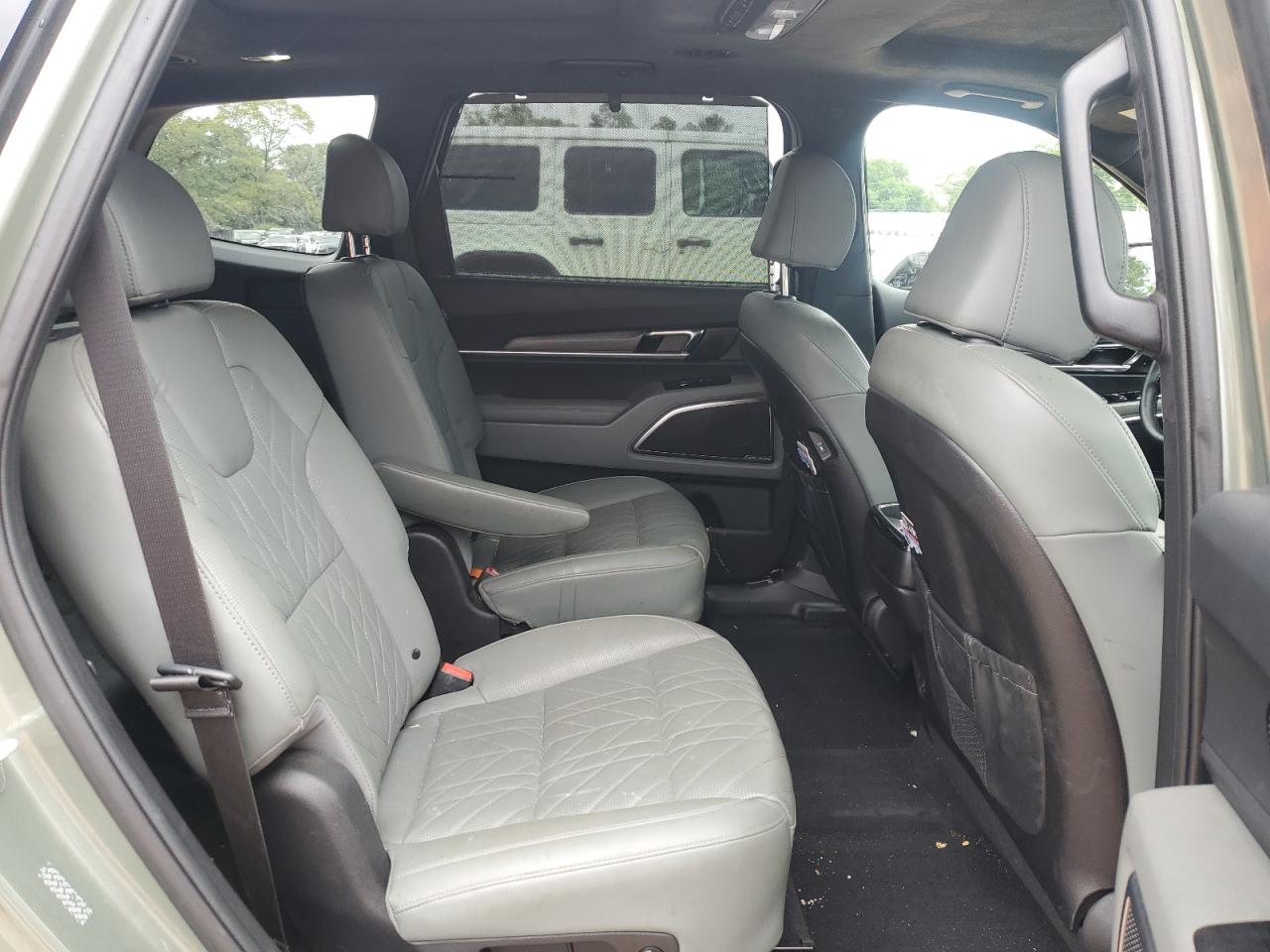 2024 Kia Telluride Sx VIN: 5XYP5DGCXRG500326 Lot: 55867255