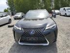 2020 Lexus Ux 250H за продажба в Arlington, WA - Rear End