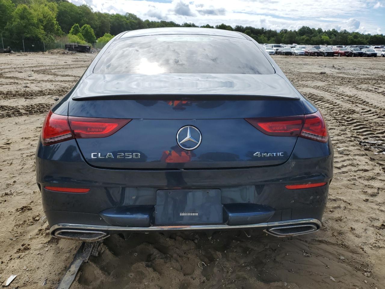 2020 Mercedes-Benz Cla 250 4Matic VIN: WDD5J4HB4LN033919 Lot: 57874365