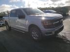 2024 Ford F150 Xlt na sprzedaż w Spartanburg, SC - Water/Flood