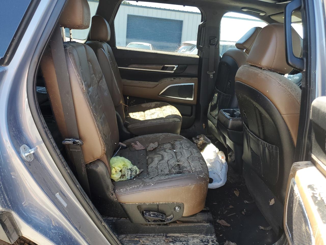 2021 Kia Telluride Sx VIN: 5XYP5DHC4MG163613 Lot: 56233635