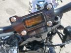 2024 Harley-Davidson Fxlrst  for Sale in Dunn, NC - All Over