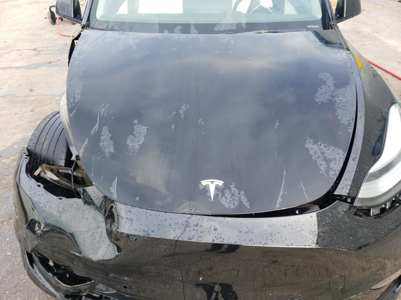 2022 Tesla Model Y VIN: 7SAYGDEE2NF367293 Lot: 57074685